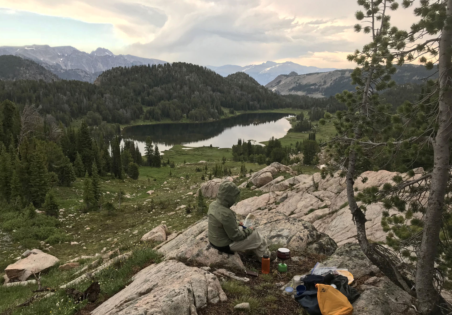 Room with a view